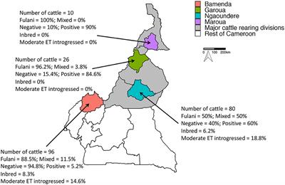 Genetic Diversity of Cameroon Cattle and a Putative Genomic Map for Resistance to Bovine Tuberculosis